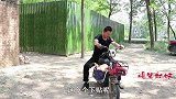 喜剧：老三男友拿彩礼来下聘，没想到竟拿个牛头，这婚事能成