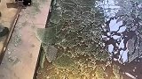 不知道谁家的熊孩子，伤了财物还伤了老太太