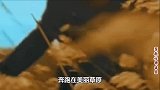 神曲歪歌！《来到四川转一转》若尔盖草原真好看