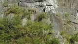 千年未解之谜，重庆三峡悬棺群，古人怎么放上去的？