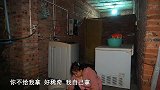 桃子姐学到一个新花样，做一盘番茄炒茄子，酸辣开胃，美滋滋
