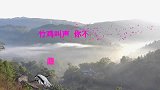 好听的竹鸡叫声，你不乖你不乖，这叫声听到容易拍到难