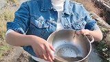农村小姐姐稻田地里抓泥鳅，一会的功夫抓到这么多，你喜欢抓鱼吗
