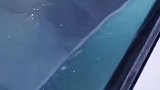 冬天开车，教你如何除霜，要的就是这种感觉！
