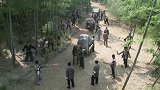 农村土匪打劫大老板，怎料大老板身边个个身手不凡，土匪被打惨了