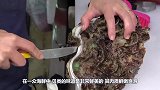 实拍顶级大厨制作贝壳刺身，一刀切下去，口水都快流出来了