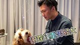 谢霆锋重男轻女？40亿家产分配起争议，引现女友王菲不满