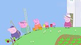 小猪佩奇：黑莓长得太杂乱，猪爷爷不喜欢，总是想要除掉黑莓！