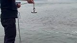 大哥往水里扔下一块吸铁石，没想到把定海神针给吸上来了