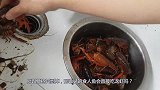 老外将食人鱼饿上三天，放入一只小龙虾，结果令人不可思议！