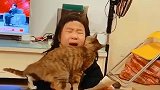 见熊孩子哭了，小猫不停的安慰！