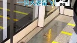 陕西西安：地铁站台现大老鼠人群脚下飞窜