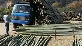 国内卸车最牛的人，看完这一幕，我信了。