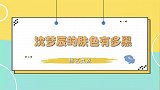 宋小宝扬言沈梦辰比自己黑，卸完妆肤色都差不多，沈梦辰肤色多黑