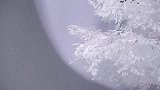 张艺凡首次站C位，挑战声乐，小仙女一开口就醉了！