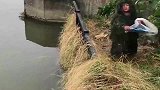 农村河里鱼就是多，小伙轻轻一甩就抓到这么一大袋