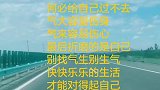 干嘛生气，多傻呀，大实话，开心快乐每一天