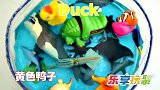 乐享动物乐园带你认识深海龙虾与锯齿鲨