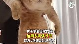女子拿着自家的猫，给网友表演才艺