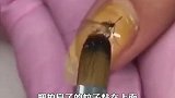 最特别的美甲,用蚊子做的琥珀美甲