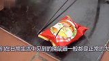 把大西瓜扔向巨型捕兽夹，最后西瓜会变成什么样