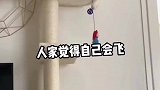 我家养了一只飞天小猫咪！