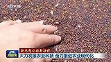 新思想引领新征程丨大力发展农业科技_奋力推进农业现代化