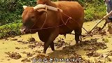 郭德纲“我有四不吃”，你觉得郭老师的观点对吗？