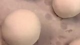 好吃的粘豆包家常做法
