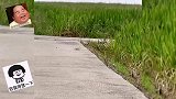 这小宝每次出去都要带点东西回来