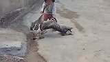 被人强迫做俯卧撑