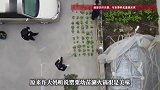 128株“鸦片花”混种菜地，只为一口“美味”，大妈：用来涮火锅
