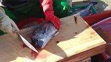 实拍大妈给顾客切鱼，看完处理全程，真让人感叹沧海遗珠