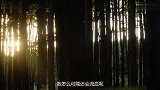 男子野外看见大树在“流血”将其锯开后，不可思议的一幕发生了