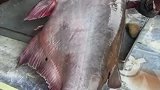 外国物价多便宜，这条鱼才十几块，在中国连个鱼尾巴都买不来