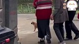 小伙子办订婚仪式，送花细节满满好感加分