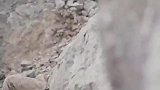 实战中论突击步枪的重要性