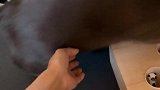 我是菠小萝