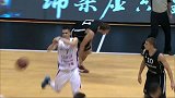 中国男篮-14年-中欧男篮锦标赛 塞尔维亚77：61德国-全场
