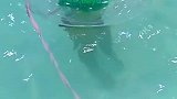 宝宝今天洗澡澡喽