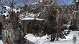 五月份的川藏高原上，雪景依然很美