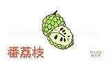 水果简笔画大全，画怎样画番荔枝简笔画