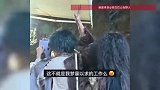朝九晚五带薪发疯的工作来了！景区日薪200急招野人