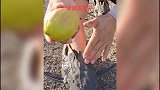 出去玩没有鞋子怎么办，硬核网友直接用清道夫做鞋子，牛啊牛啊