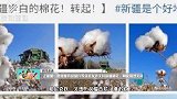 正能量！佟丽娅肖战胡兵等众星发声支持新疆棉花，网友强烈支持