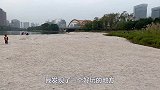 宠物日常，主人带小仓鼠玩沙滩迷宫