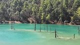 玉龙雪山下的蓝月谷景点，湖水清澈，成蓝绿色