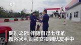 训导员离队搜救犬狂追1公里跟随 途中直接跃闯跳入导员怀中