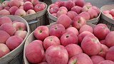 夏季水果上市，各种时令果价格回跌，网友：苹果降价有希望了吗？