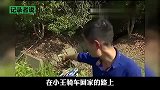 男子捡到价值上亿”石太岁“，专家：10万块一克，最后反转来了